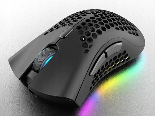 Spelmus RGB BM600 (80)