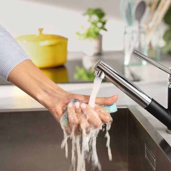 256743 Vileda Sieni enzymeillä Pro Clean 2 kpl