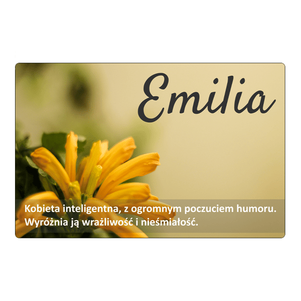 Magnet för kylskåp Emilia