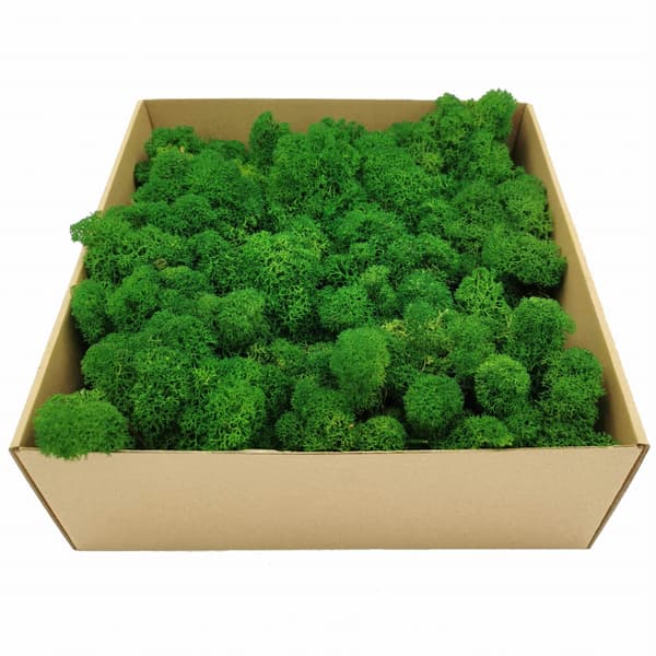 Rensdyrmos - Alpin - Renset - Grøn 50g NETTO