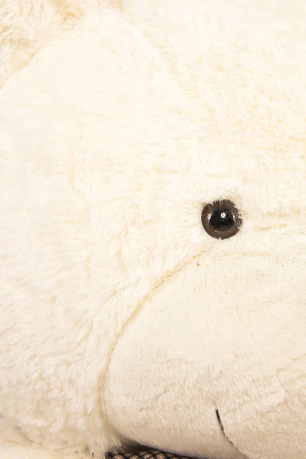 Teddy Classico 50cm - hvid