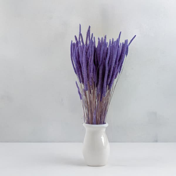 Torkat gräs - Timotej (Phleum) - Lavendel