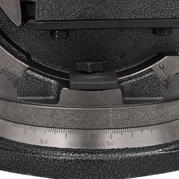 vidaXL vippe- og drejeskruestik, 2 akser, 100 mm