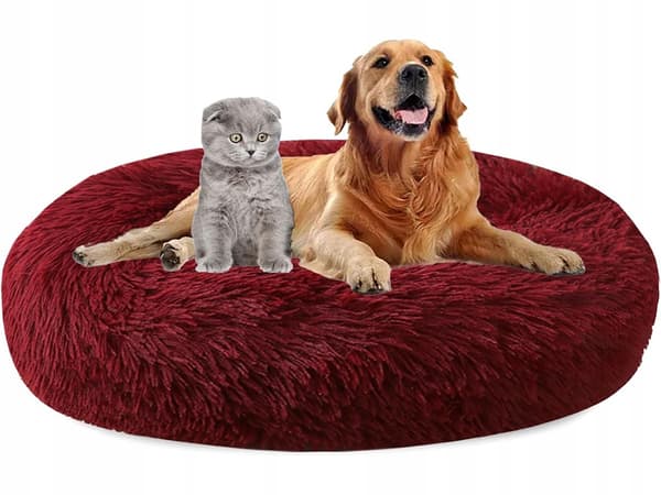 plushi peti 80 bordeaux (20)