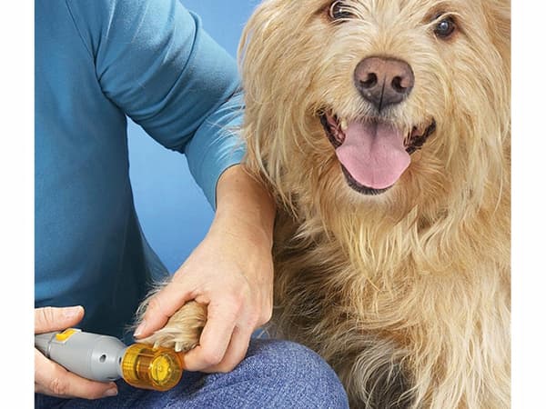 Elektrisk neglefilsliber til hunde, katte og dyr