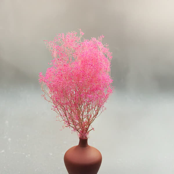 Stabiliserat gips MINI - (gypsophila) - Rosa