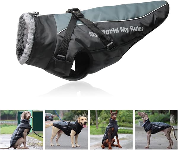 Regnrock Vinterjacka Reflekterande Kläder för Hundar och Katter 2XL