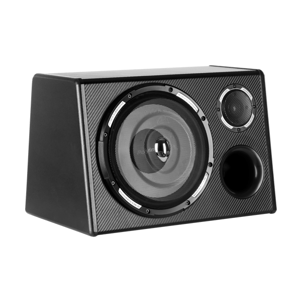 Peiying 10" bilsubwoofer 200 W bastubakabinetskabsluttet undersystem