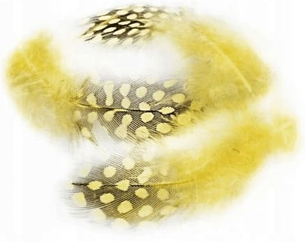 Keltaiset täplähöyhenet 3g
