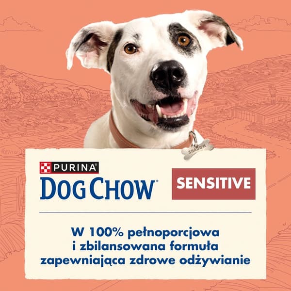 Tørfoder til hunde PURINA DOG CHOW SENSITIVE Laks 2,5 kg