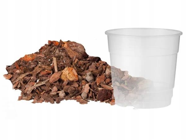 Orkidéjord med kruka set 0,65 L