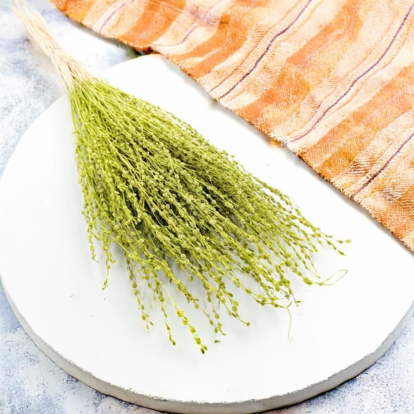 Lepidium (Lepidium sativum) - Vaaleanvihreä