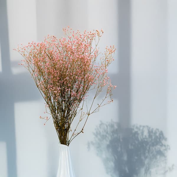 Stabiliserad Gypsophila - Pastellrosa