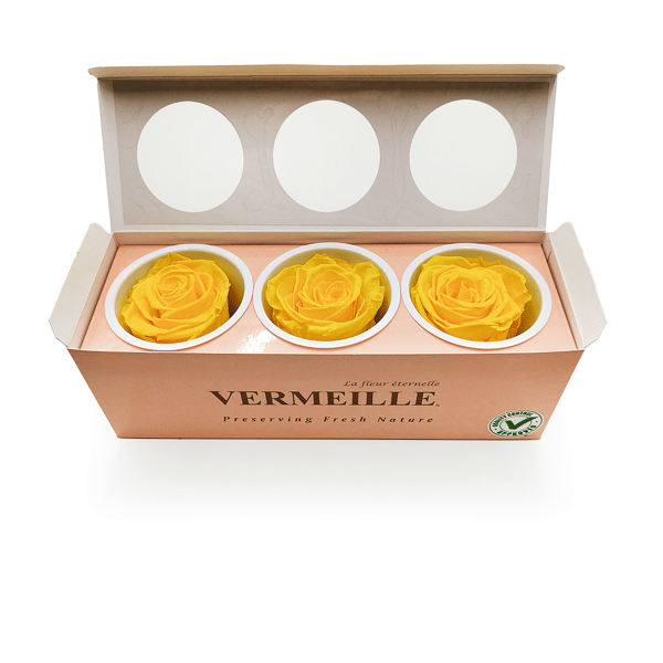 Stabiliseret rose - Kanariegul - XL - 3 stk.