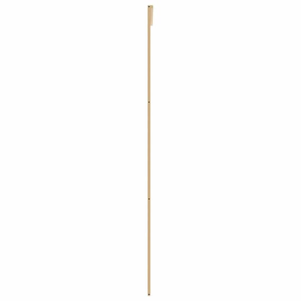 vidaXL skydedøre guld 76x205 cm klart ESG-glas
