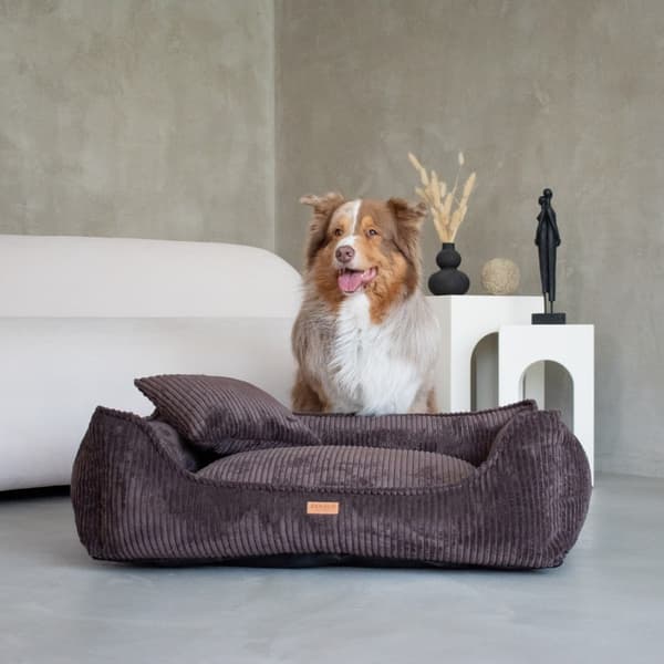 DENZOO MILANO BRUN "S" ORTOPÆDISK SENG 70x50 KRAVEGRUND SOFASOFA