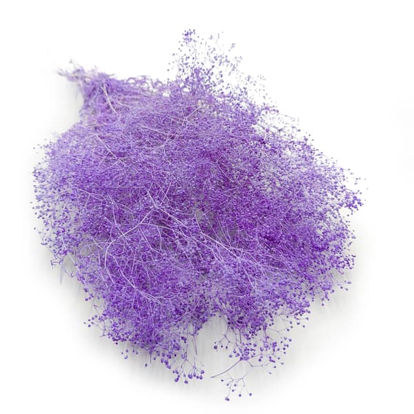 Mini Stabilized Gypsophila - (gypsophila) - Lila