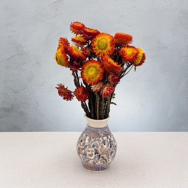 Torkad Helichrysum - (Helichrysum) - Apelsin