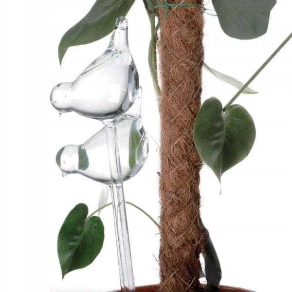 Glasvander til urtepotter, planter, 2 stk., 200 ml