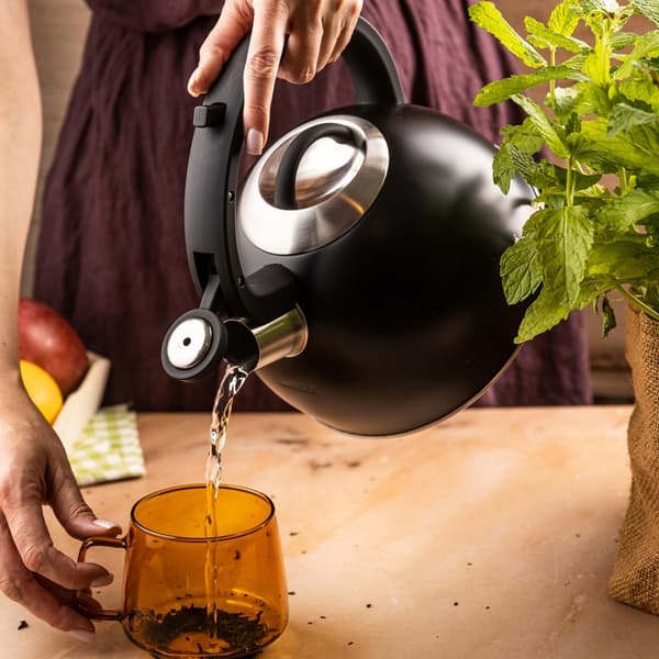STÅLKEDEL MED FLØJTE 2,5L KLAUSBERG KB-7911