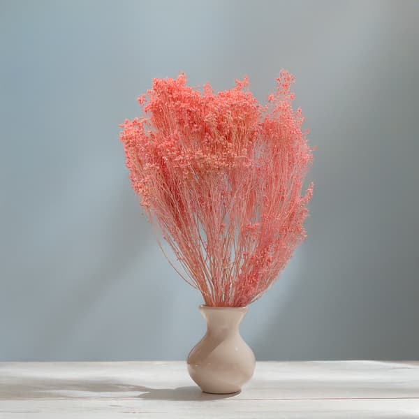 Tørret kostblomst - Kost - Lakserosa