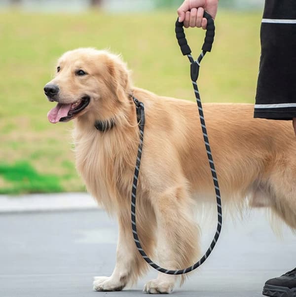 METER TRÆNINGSSNORE REFLEKTERENDE TYKKELSE 1 CM TIL HUNDE