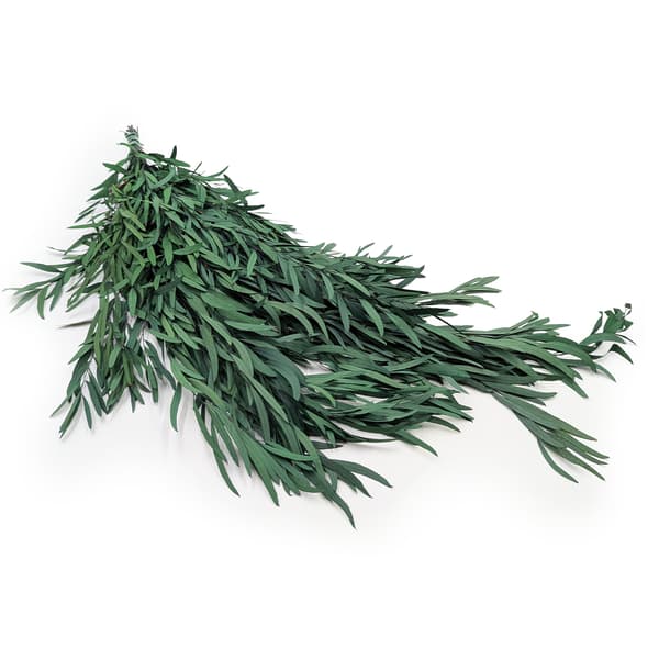Stabiloitu eukalyptus - Nicoly - Vihreä