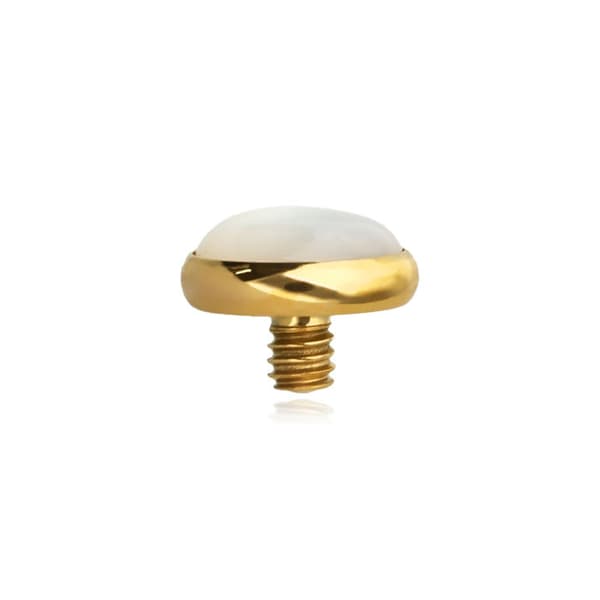 Titaniumkappe med perlemor - guld - TNA-014 1.6/4