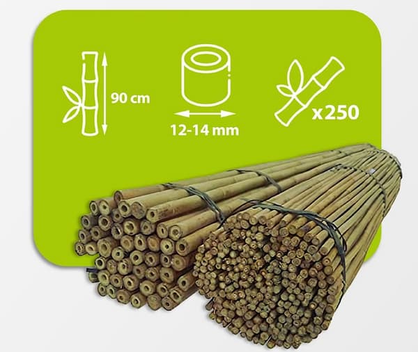 Bambustolpar 90 cm 12/14 mm /250 st/