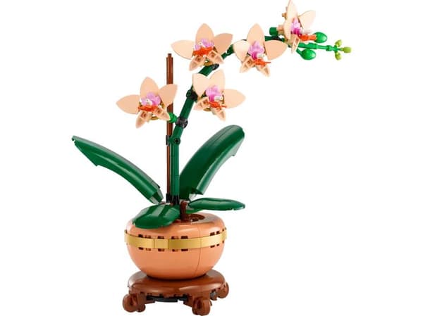 LEGO Botanicals Pieni orkidea (10343)