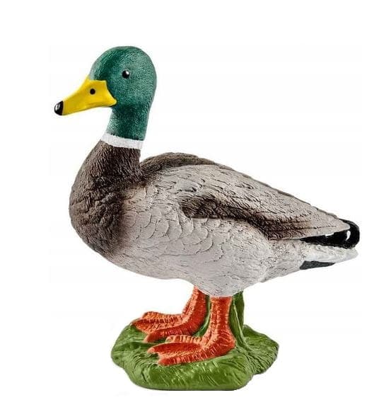Schleich - Ankkahahmo - 13824