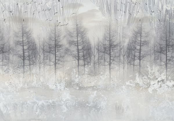 Fototapet - Frostklar vinter