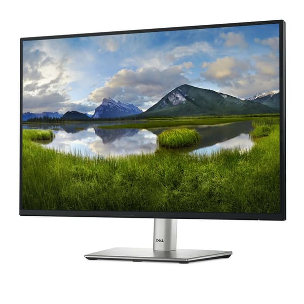 DELL LED 24 P2425 skærm