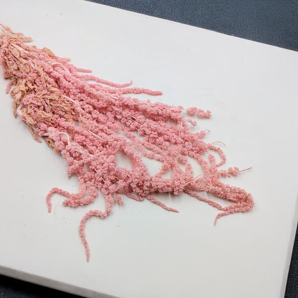 Stabiliserad amarant - Amaranth - Rosa