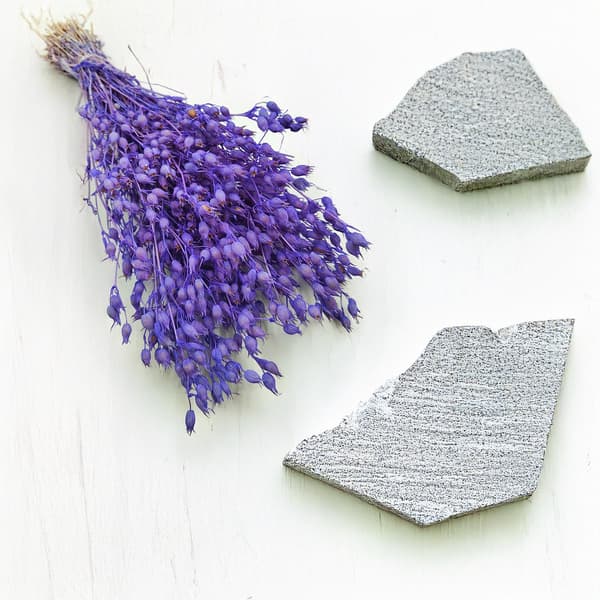 Silene - Lavendel