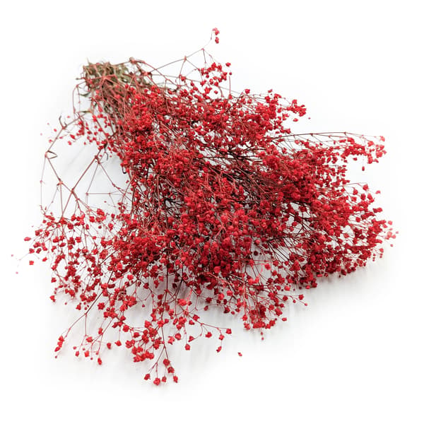 Stabiliseret Gypsophila - Pastelrød