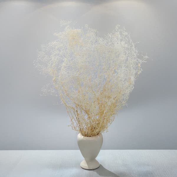 Mini Stabiliserad Gypsophila - (gypsophila) - Blekt