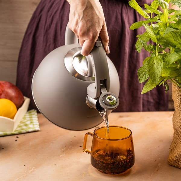 STÅLKEDEL MED FLØJTE 2,5L KLAUSBERG KB-7912