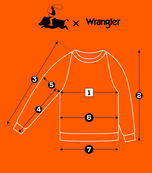 Wrangler Raglan Sleeve Crew bleknad bomullsdamtröja med tryck S