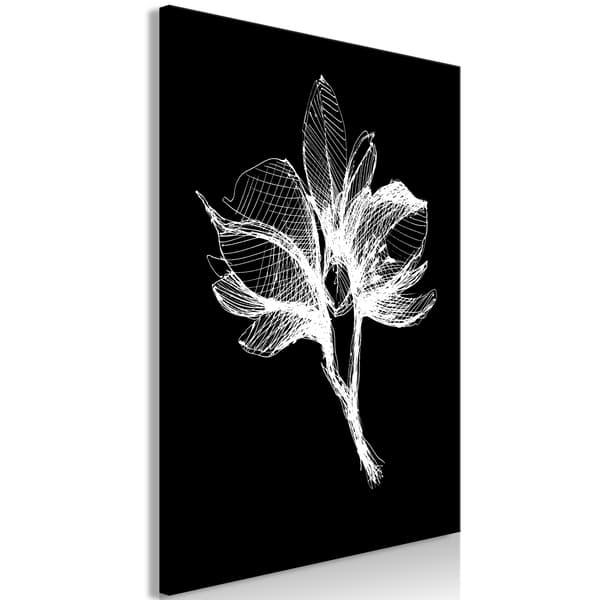 Bild - Nattblomma (1-delad) vertikal