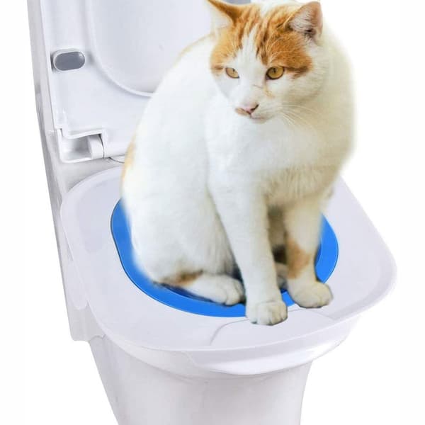 NILS toalettsitsskydd till katt, blått
