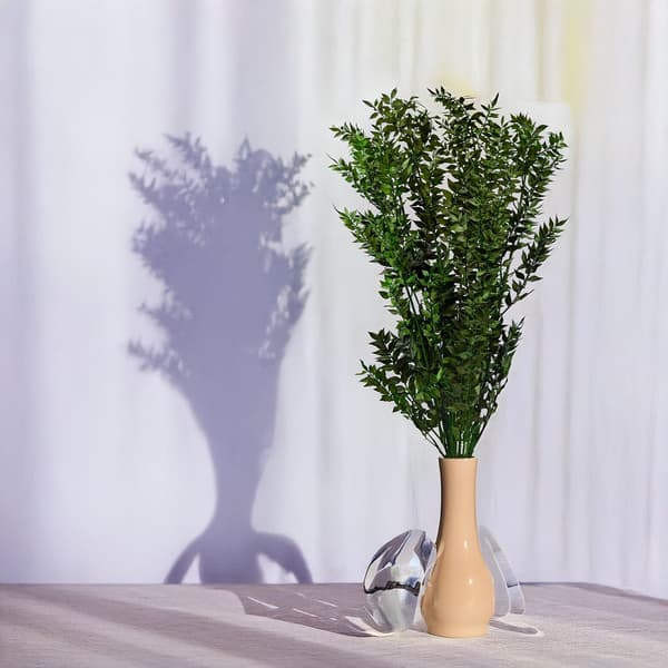 Stabiliseret Ruscus - (Ruscus) - Grøn