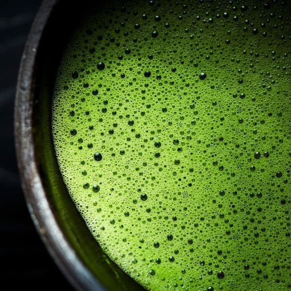 Te Japansk Matcha premium+ Nr. 1 Uji 80 g Green Touch første høst