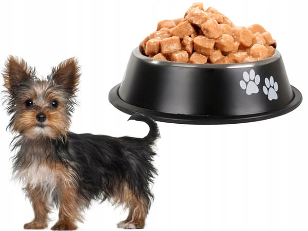 Skål til hund to poter 16 (200) GAB_A
