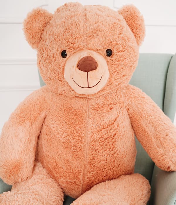 Teddy Adam 160cm - beige