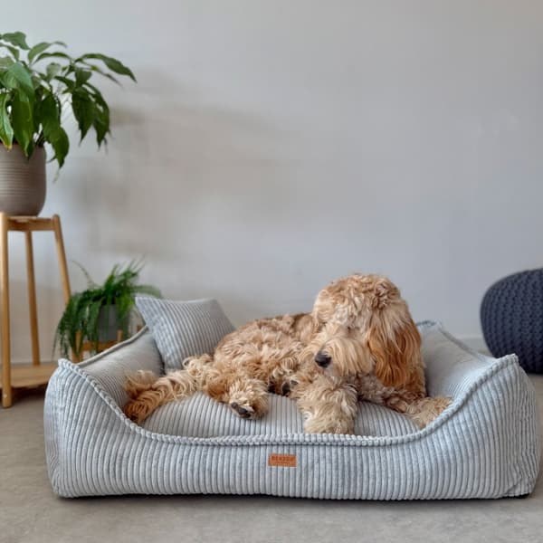 DENZOO MILANO GRÅ "M" ORTOPÆDISK SENG 80x60 KRAVEGRUND SOFASOFA