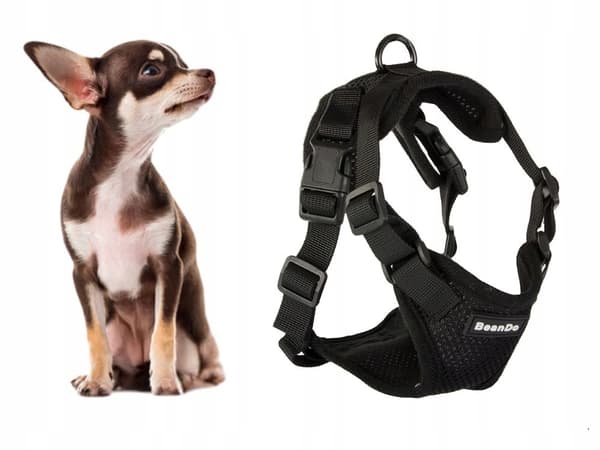 Hundesele S uden tryk sort (100) GAB_A