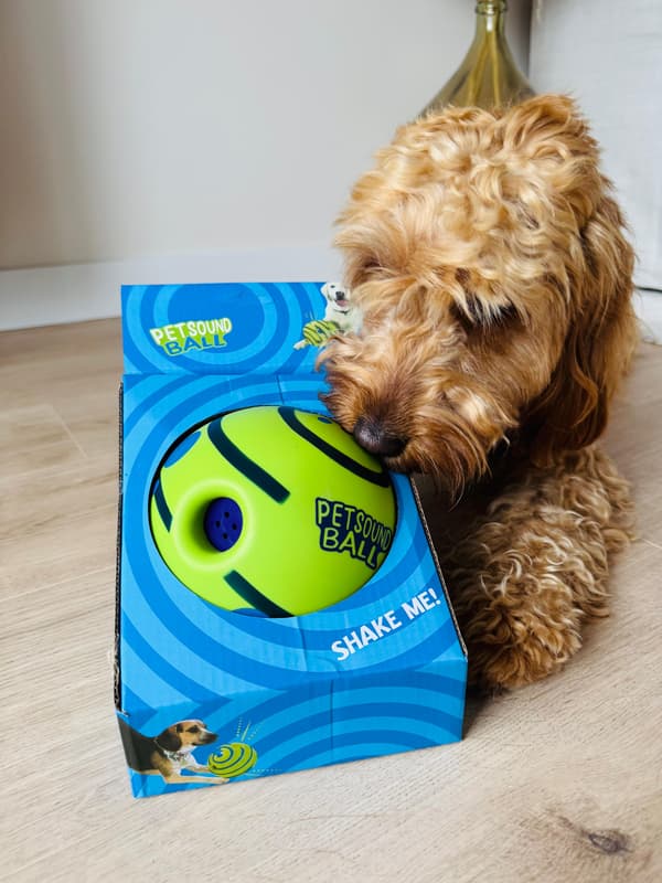 Leksakshund Interaktiv boll liten 10 cm