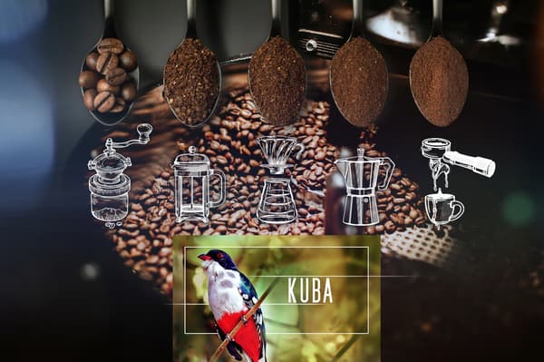 Friskristede Arabica-kaffebønner Cuba 250 g