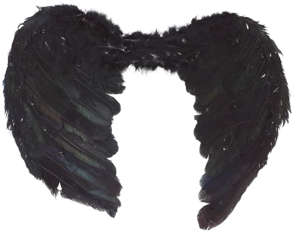 Falden Engel Sort Djævel Ravnevinger 55x42cm